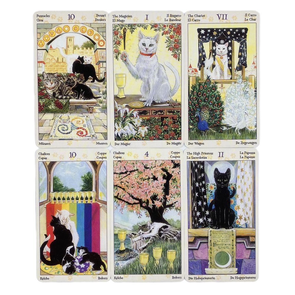 78 Cards Deck Tarot Of Pagan C – Board Game Quantum Bewertung und Preis